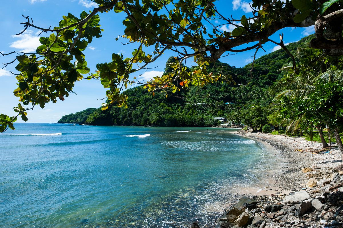 A sheltered tropical cove with calm turquoise water framed by overhanging breadfruit tree branches, with a rocky shoreline curving into dense jungle-covered hills under a bright midday sun.