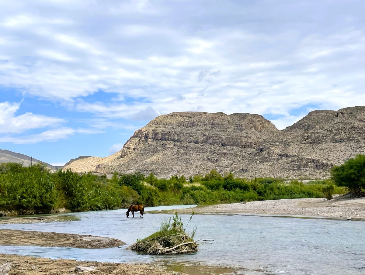 A lone brown horse wades in the shallow, turquoise-green Rio Grande River with lush riparian vegetation lining the far bank and dramatic flat-topped desert mesa rising behind under a partly cloudy sky. The scene has a serene, wild frontier mood with…