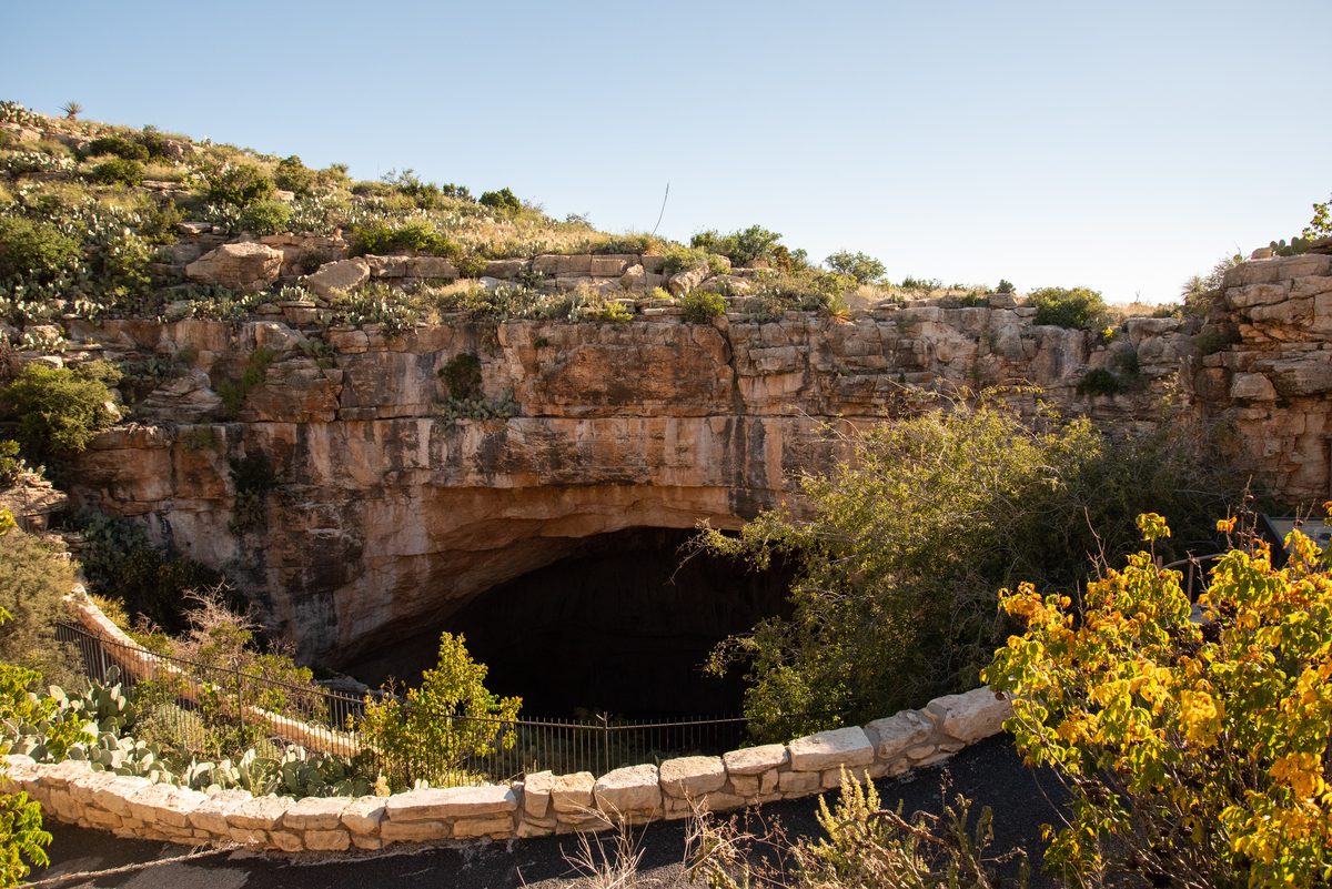 The natural entrance to Carlsbad Caverns, a massive arched cave opening carved into limestone cliffs in the Chihuahuan Desert, bathed in warm golden afternoon light with surrounding desert shrubs and cacti.