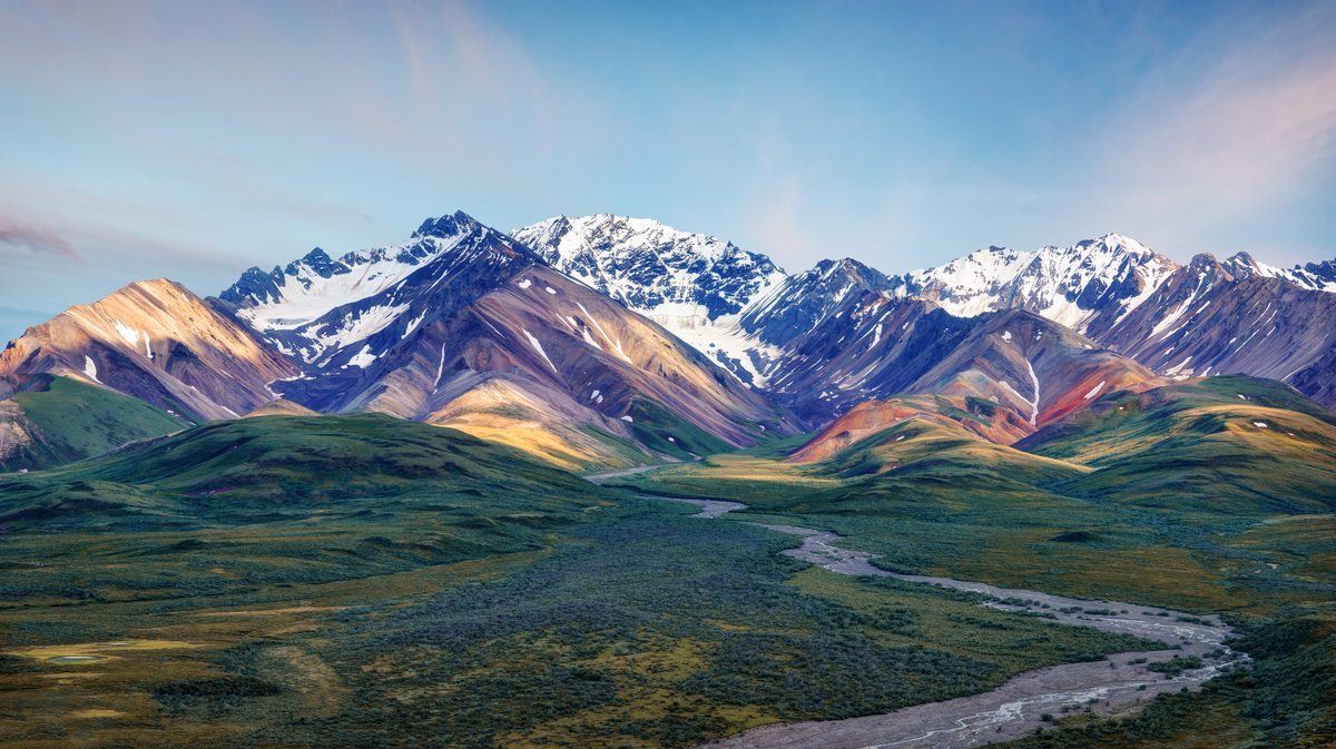 A sweeping panoramic view of the Alaska Range in Denali National Park, featuring snow-capped peaks with colorful mineral-streaked slopes in warm amber, rust, and olive tones, above a braided glacial river winding through lush green tundra valleys.…