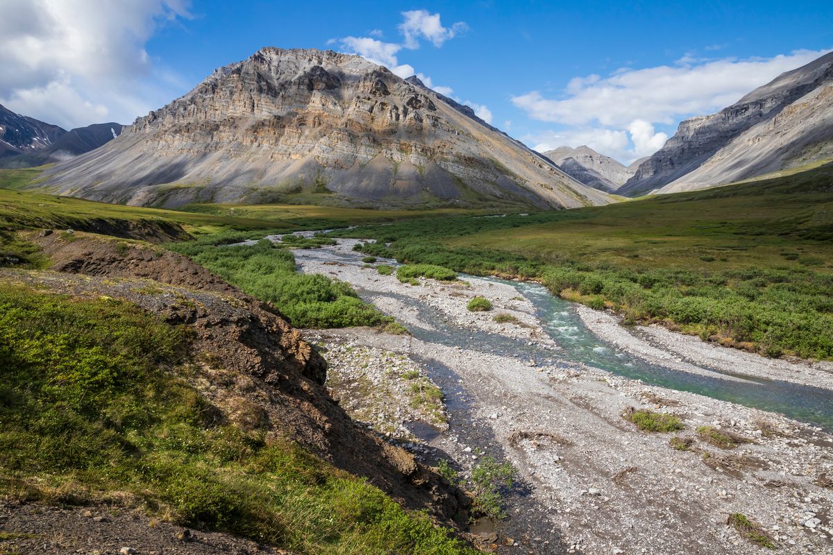 A braided glacial river winds through a broad alpine valley flanked by layered sedimentary mountains in warm summer light, evoking a sense of remote wilderness and serene grandeur.