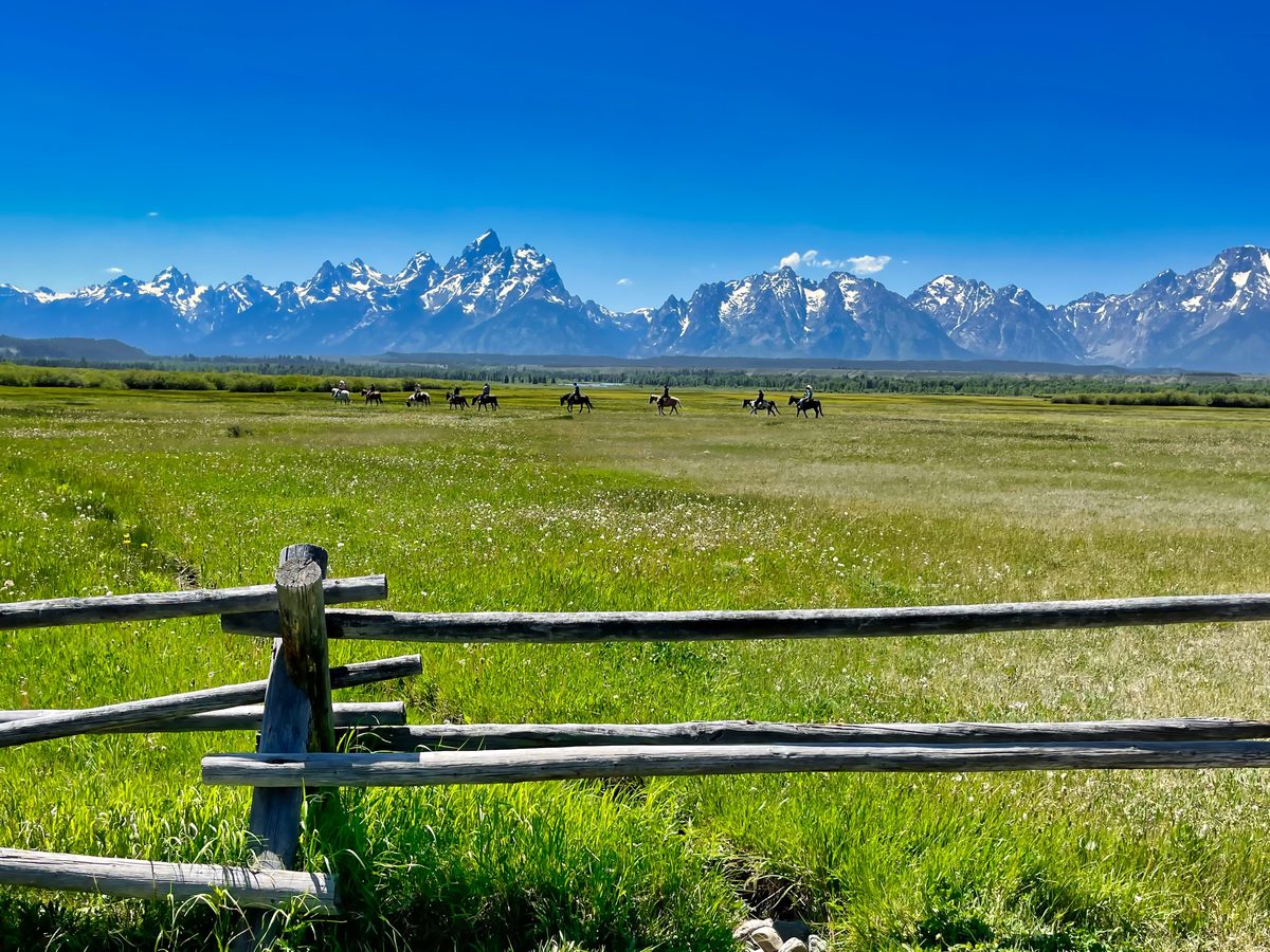 A sweeping summer meadow in Grand Teton National Park features a group of horseback riders crossing a vast green valley, with the iconic jagged, snow-capped Teton Range dramatically filling the horizon under a brilliant blue sky. A weathered…