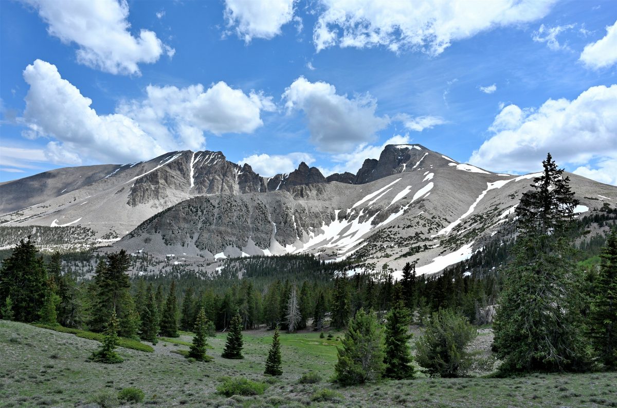 A sweeping alpine mountain range with rocky peaks dusted in remnant snow patches rises above a lush subalpine meadow and conifer forest, captured under a bright blue sky with billowing cumulus clouds in warm midday light.