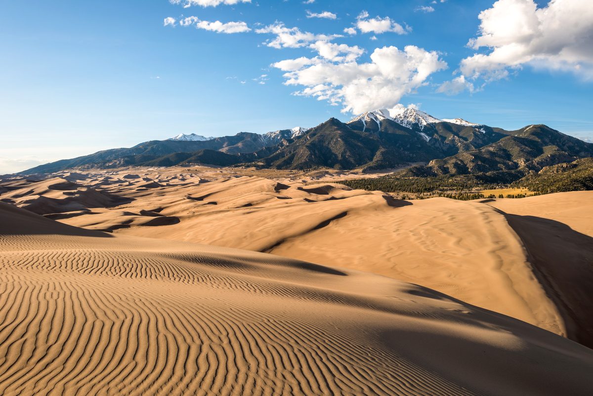Great Sand Dunes National Park in Colorado showcases towering rippled sand dunes in the foreground with snow-capped Sangre de Cristo Mountains rising dramatically in the background. Warm golden sunlight illuminates the dune ridges, creating striking…