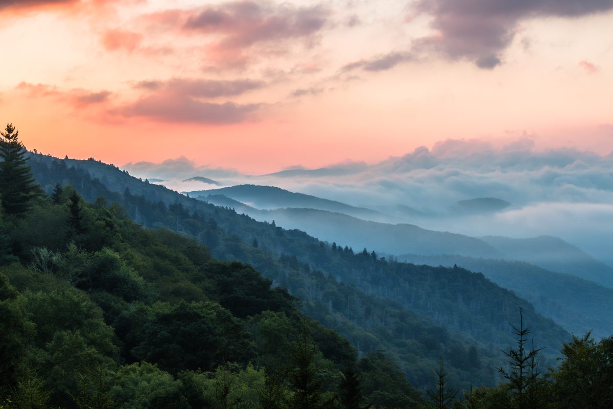 A sweeping panoramic view of layered, mist-filled mountain valleys covered in dense deciduous and evergreen forest, captured at sunrise or sunset with a dramatic pink and orange sky punctuated by soft clouds and flowing fog banks between the…