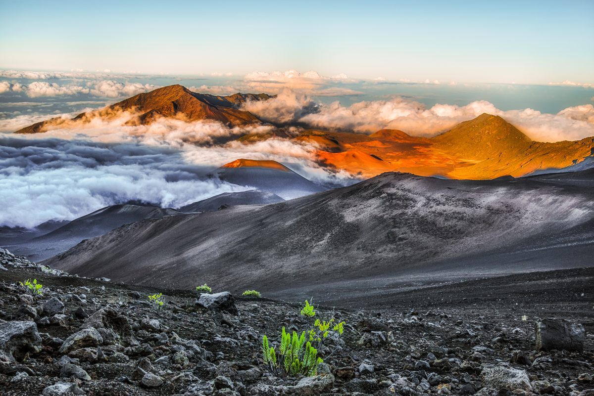 A dramatic aerial view of Haleakalā volcanic crater on Maui, Hawaii, with cinder cones bathed in warm golden-orange sunrise light surrounded by a sea of clouds. The stark dark volcanic terrain in the foreground contrasts with vibrant illuminated…