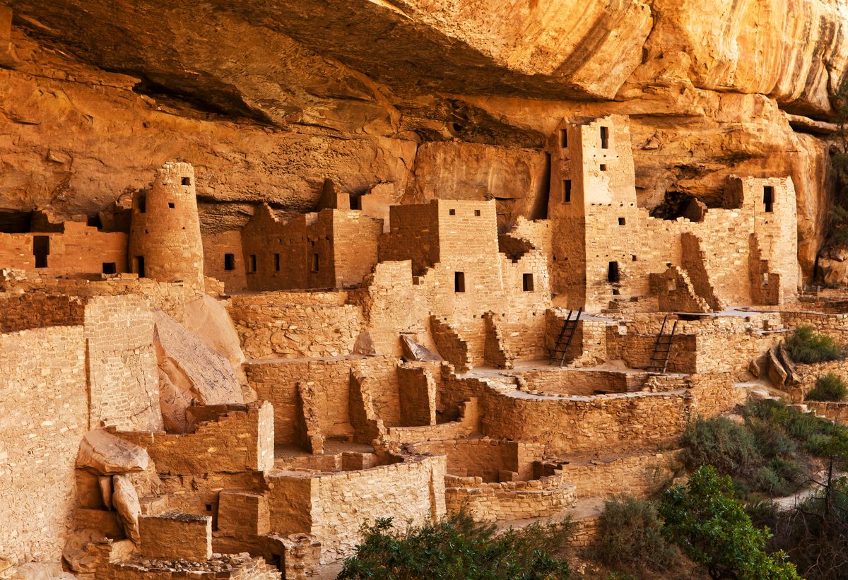 Cliff Palace at Mesa Verde National Park, an ancient Ancestral Puebloan cliff dwelling nestled beneath a massive sandstone overhang, bathed in warm golden afternoon light that accentuates the ochre and tan tones of the multi-story stone structures.