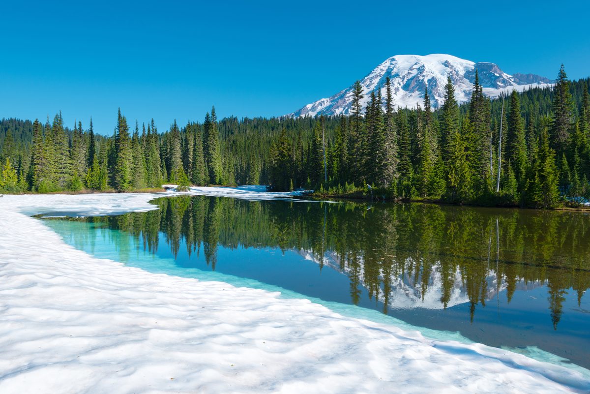 A stunning alpine lake partially covered in melting snow reflects dense evergreen forests and the snow-capped summit of Mount Rainier under a brilliant clear blue sky. The scene captures the transition between winter and summer with vivid…