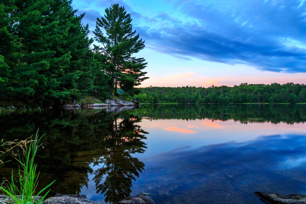A serene lake at twilight reflects tall pine trees and a dramatic blue-purple sky with soft pink sunset hues near the horizon. The glassy, mirror-like water and lush evergreen shoreline create a tranquil, pristine wilderness mood.