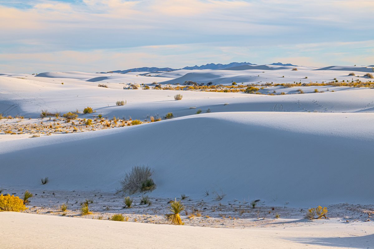 Sweeping white gypsum sand dunes of White Sands National Park stretch toward distant mountains, dotted with sparse desert shrubs and yucca plants. The scene is bathed in soft, warm early morning or late afternoon light that casts gentle shadows…