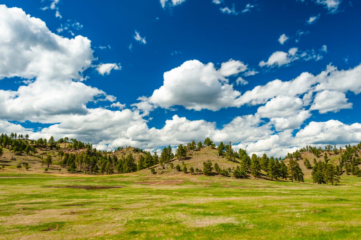 A lush green meadow spreads across the foreground beneath pine-dotted rolling hills, bathed in bright midday sunlight with dramatic cumulus clouds filling a vivid blue sky. The scene evokes an open, airy Rocky Mountain landscape, likely in the Black…